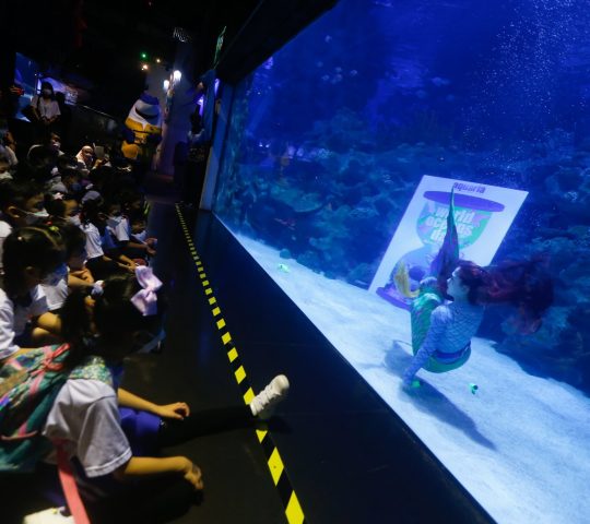 Aquaria KLCC קואלה לומפור Aquaria KLCC Kuala Lumpur