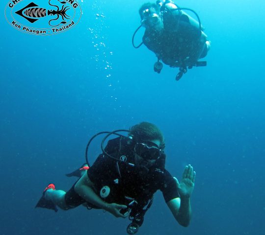 Chaloklum Diving Koh Phangan Chaloklum Diving Koh Phangan