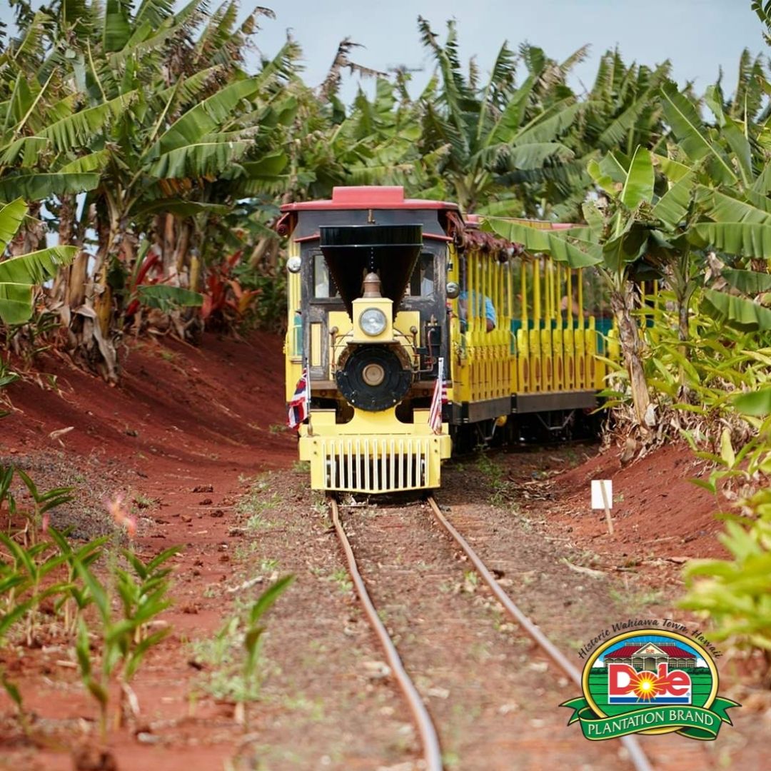 Dole Plantation Pineapple Express Train and Garden Tour Hawaii TripHock