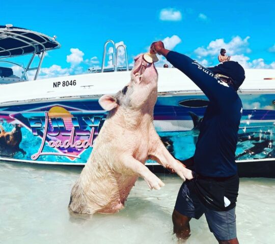 Exuma Escapes Bahamas Ltd Exuma Escapes Bahamas Ltd