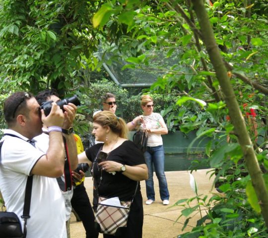 Kl Bird Park Kuala Lumpur Kl Bird Park Kuala Lumpur