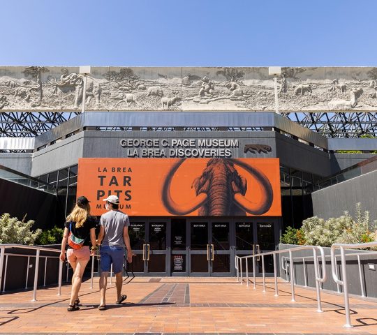 La Brea Tar Pits Los Angeles La Brea Tar Pits Los Angeles
