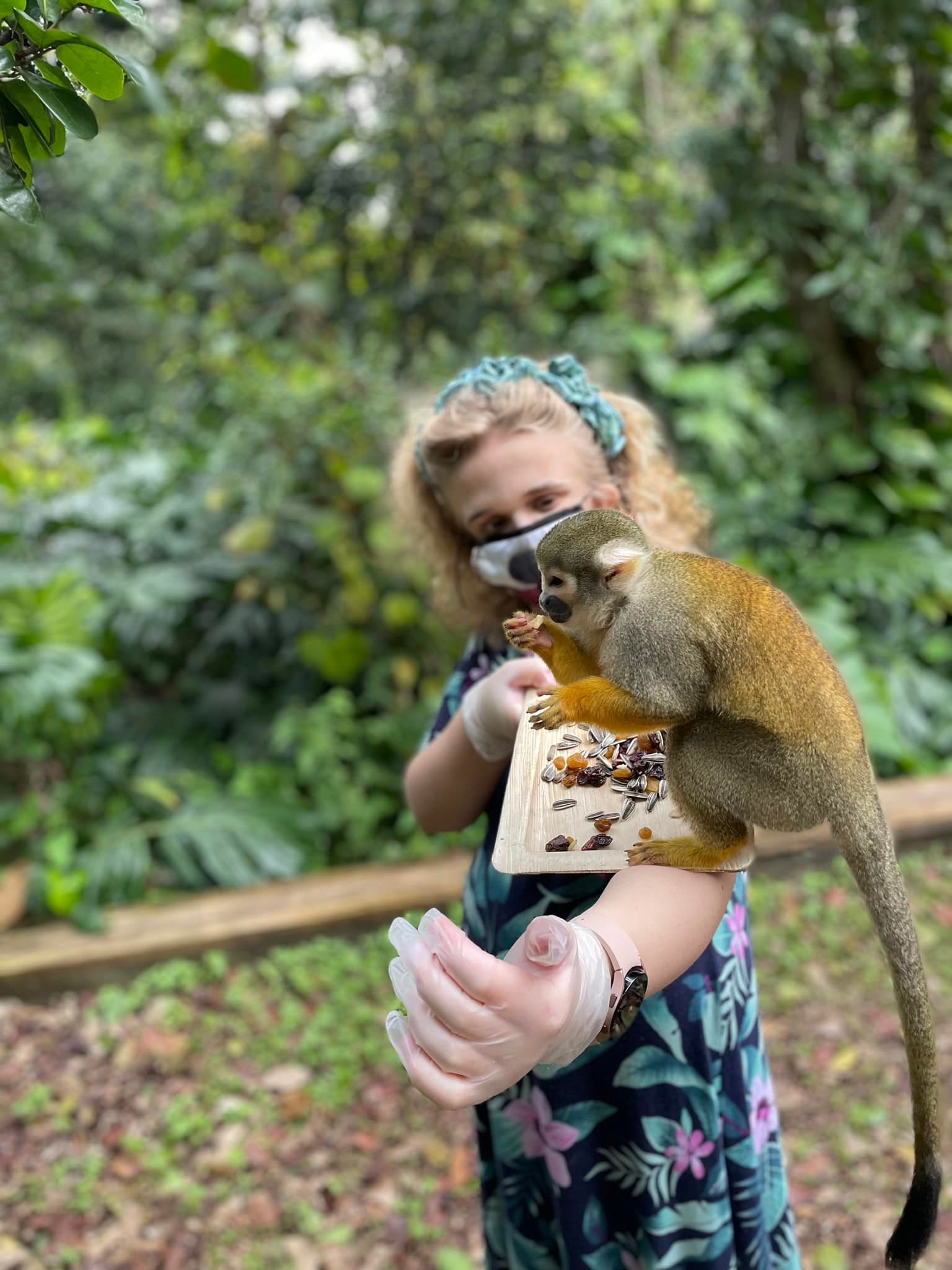 Monkey Jungle Miami TripHock