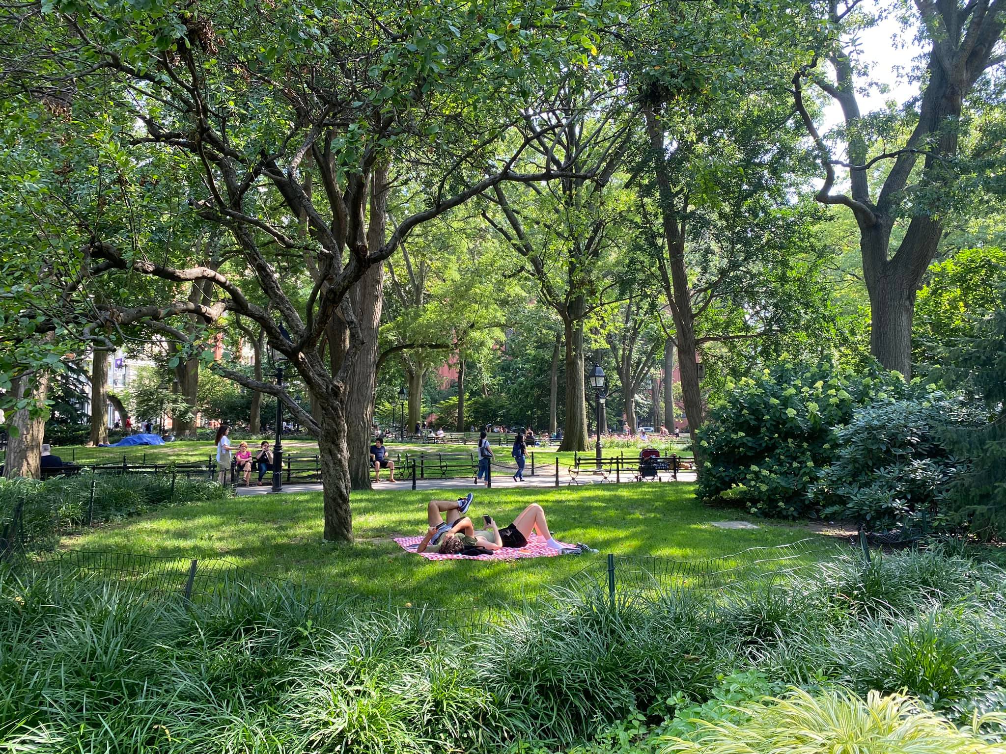 NYU + Washington Square Park New York
