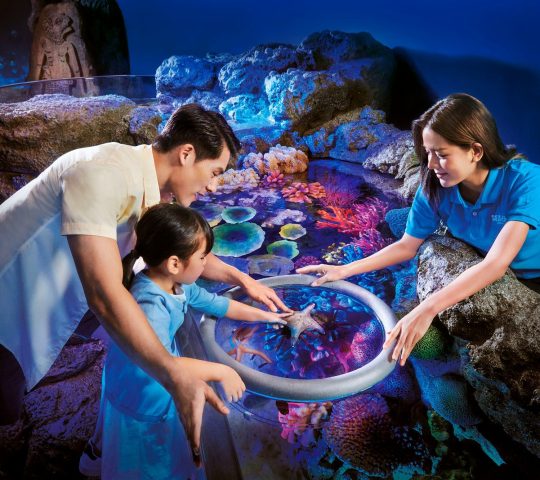 Sea Life Bangkok Ocean World Sea Life Bangkok Ocean World