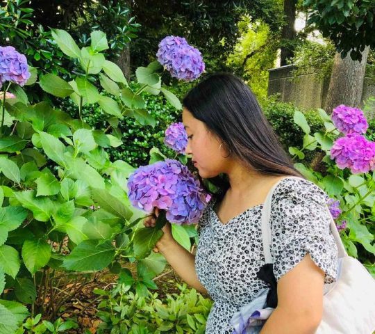 פארק אואנו Ueno Park