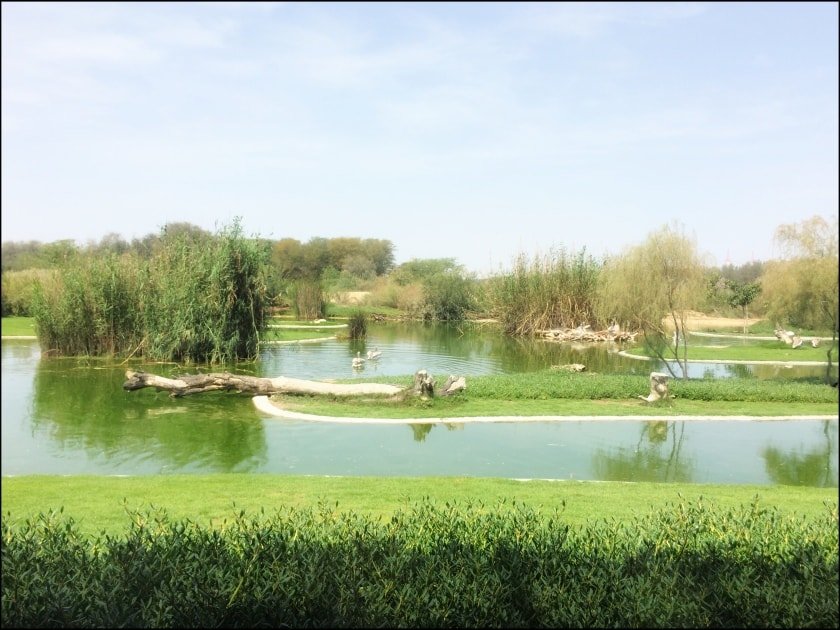 Wasit Wetland Centre Sharjah