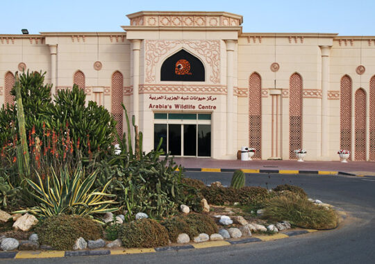 Arabia’s Wildlife Centre Sharjah