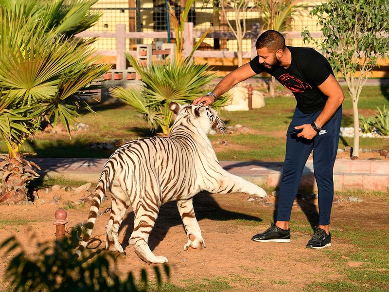 Al Buqaish Private Zoo