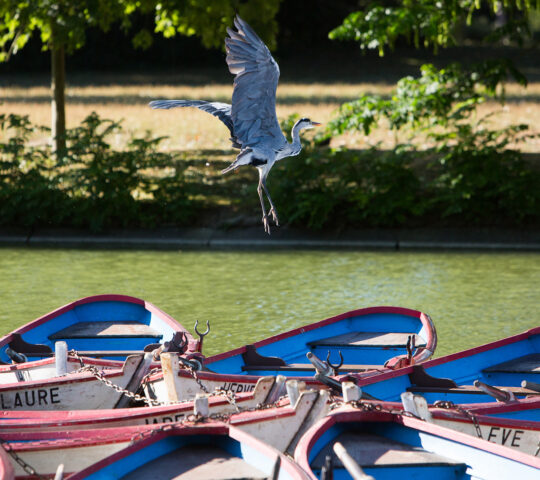 </noscript>Buttes-Chaumont Park Paris
