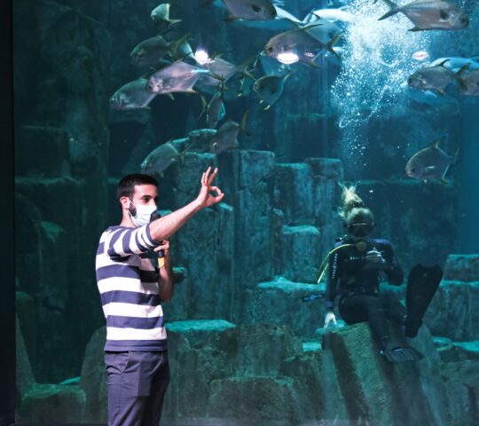 Paris Aquarium – Cineaqua Paris Paris Aquarium – Cineaqua Paris