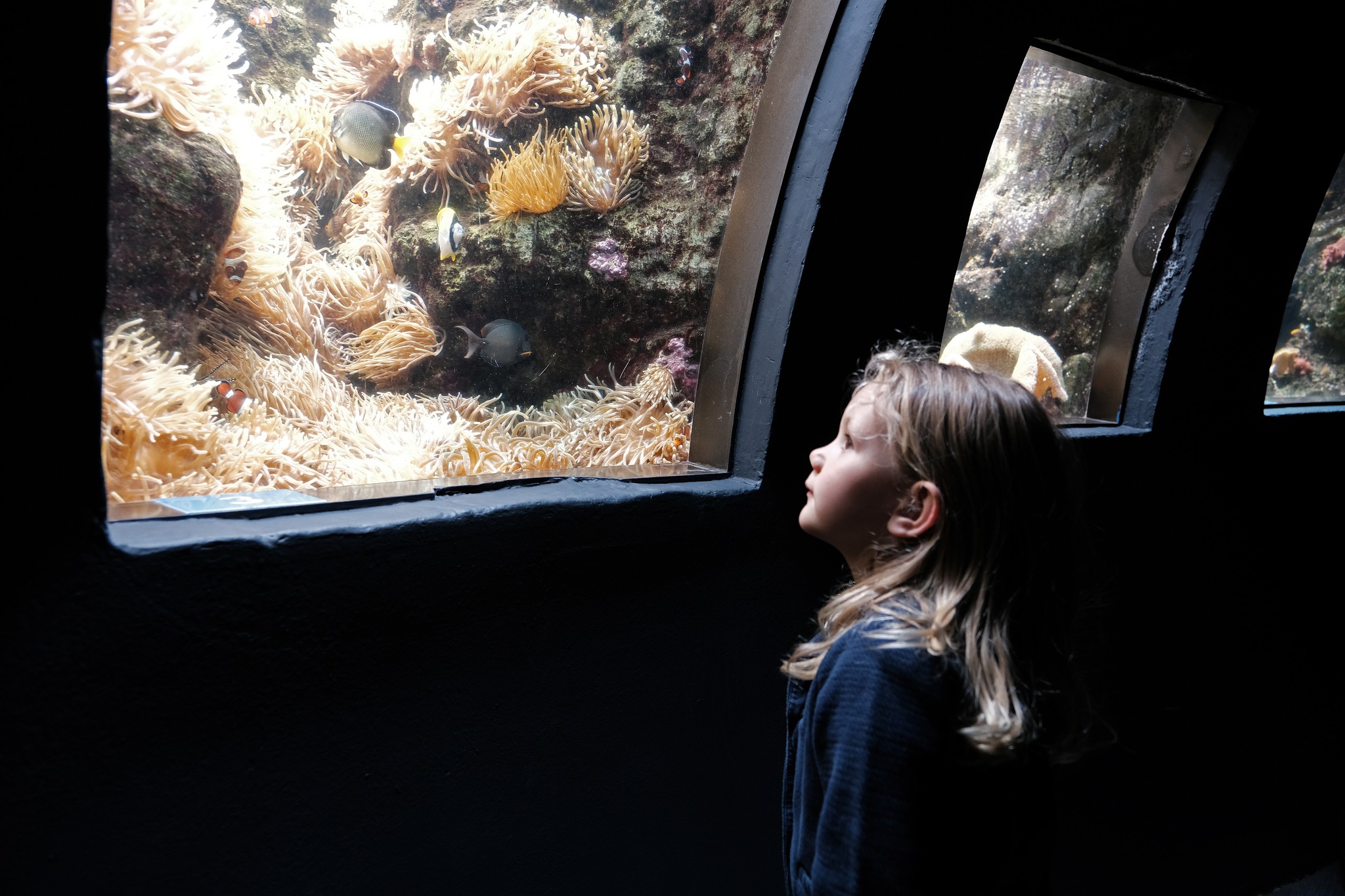 Paris Aquarium – Cineaqua Paris