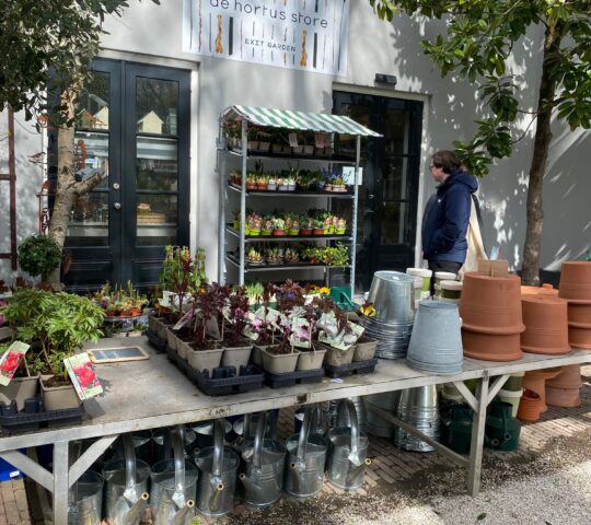 Hortus Botanicus Amsterdam Hortus Botanicus Amsterdam