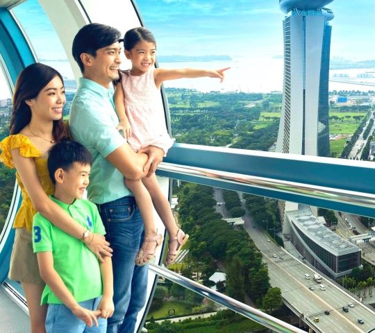 Singapore Flyer Singapore Flyer