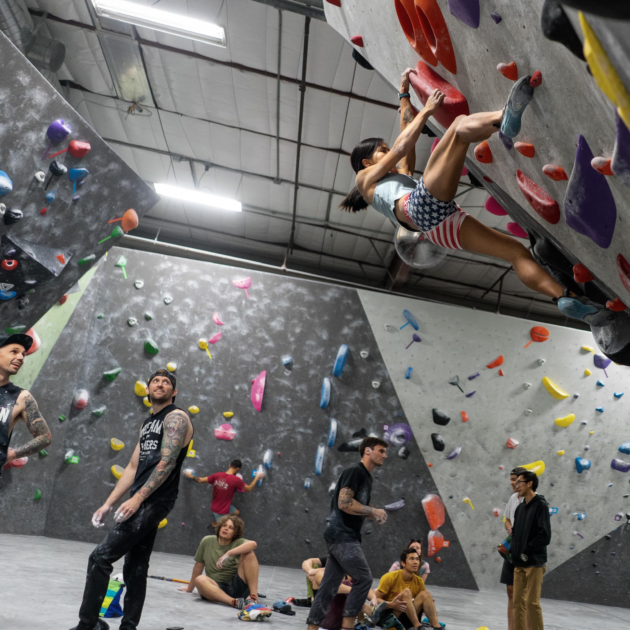 Black Rock Bouldering Gym TripHock