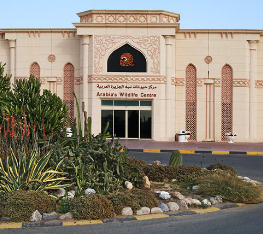 Arabia’s Wildlife Centre